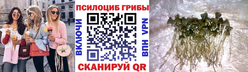 Псилоцибиновые грибы ЛСД  цены   Михайловка 