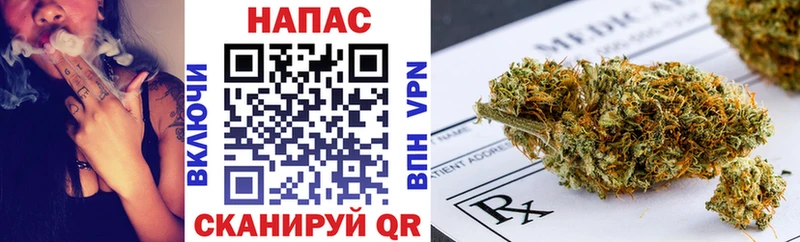 Каннабис сатива Михайловка
